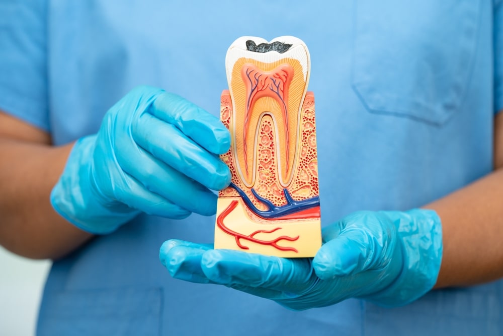 Gentle, effective treatment designed to relieve pain and save your natural tooth.